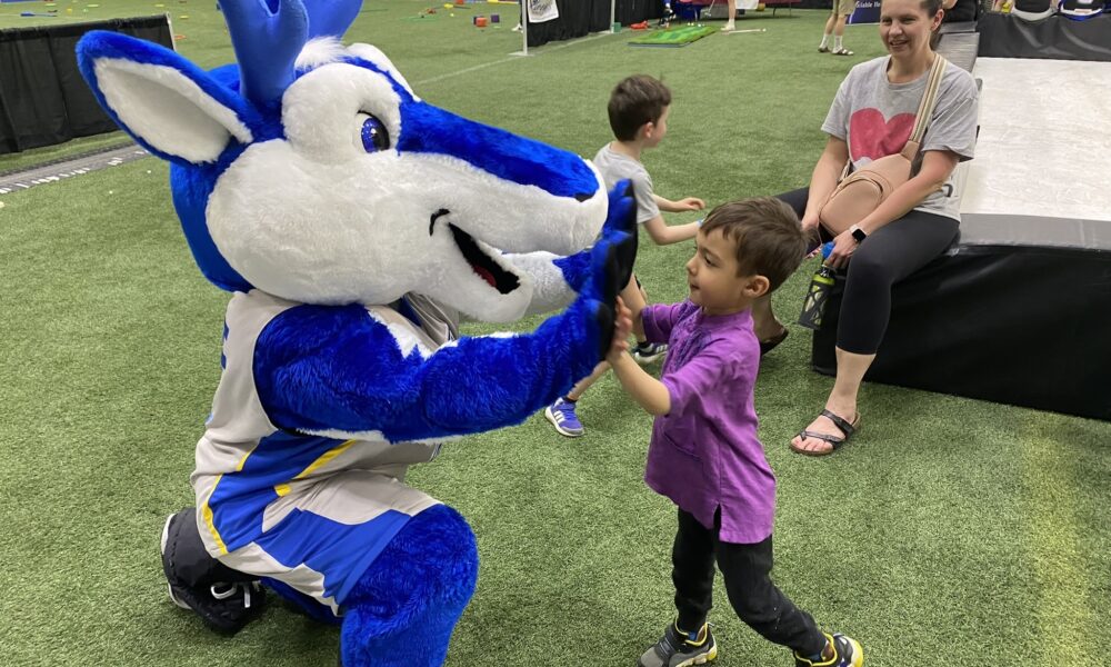 Sport Fest 2024 25