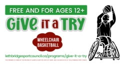 Give it a Try - Wheelchair Basketball logo