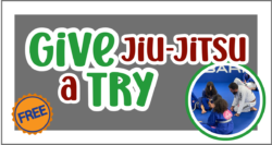 Give-It-A-Try - Jiu Jitsu logo