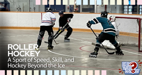 Roller Hockey SEO
