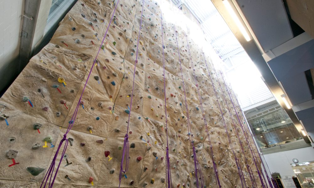 Climbing Wall Floorto Ceiling